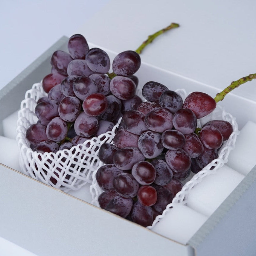 2026年10月発送】農林水産大臣賞受賞農園・ぶどうグランプリ2025金賞