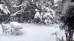 九谷吸坂窯便り 第5回 - HAZAMA INOSKE MUSEUM