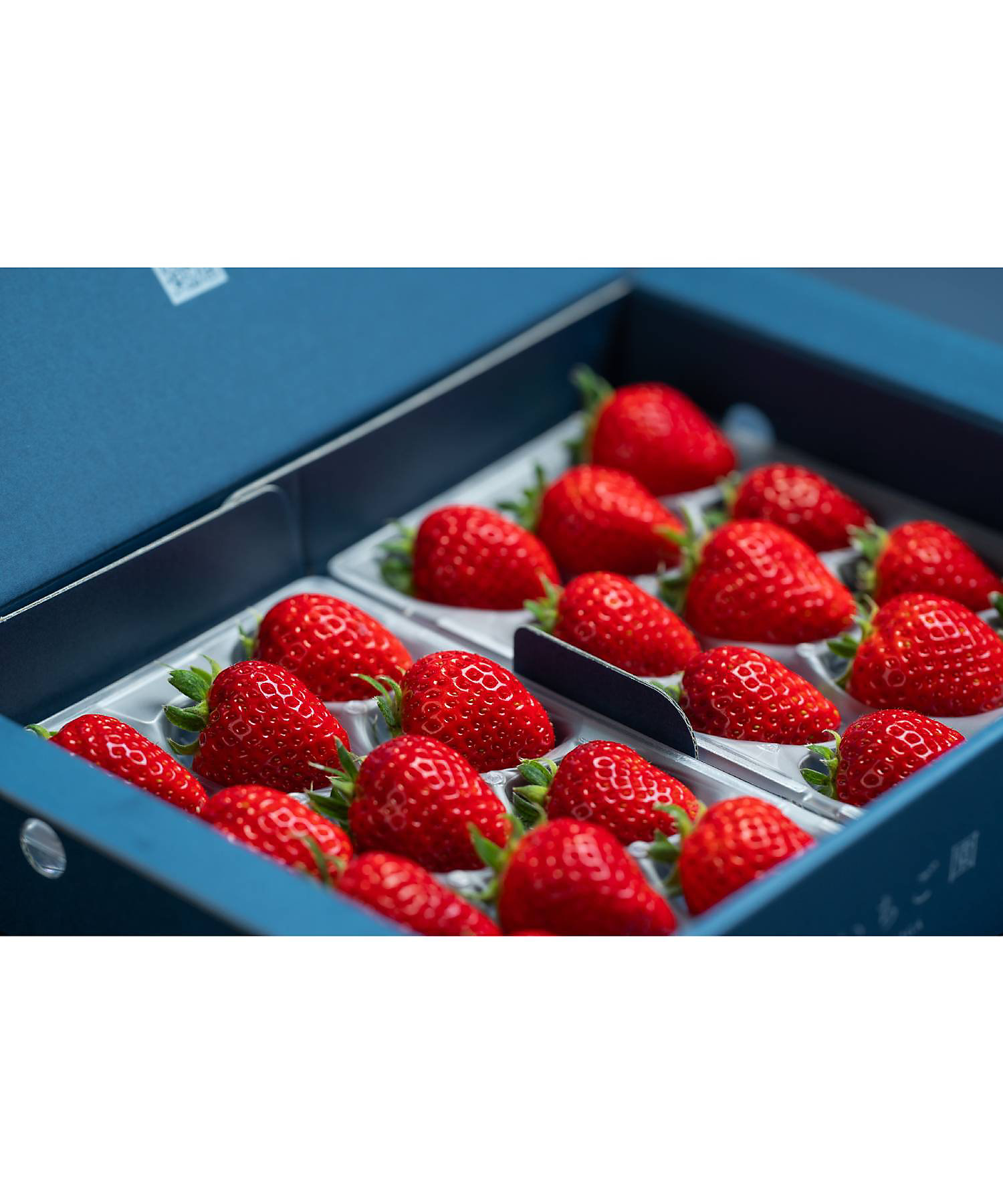 ☆【産直】佐賀県産 いちごさん4パックセット | 佐賀/渋田いちご園