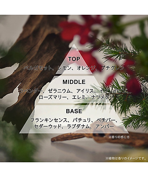 athletia（athletia） オードパルファン LOST IN THE