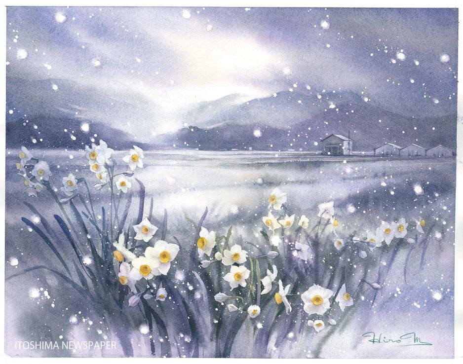 糸島市】《水彩画 光る糸島》満開の水仙 | 糸島新聞