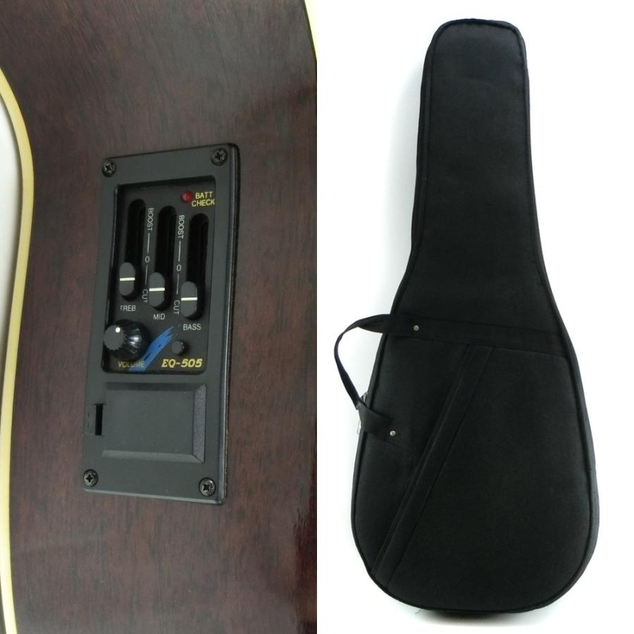 ARIA（アリア） エレアコ FET-500 EBS ギター サンバースト