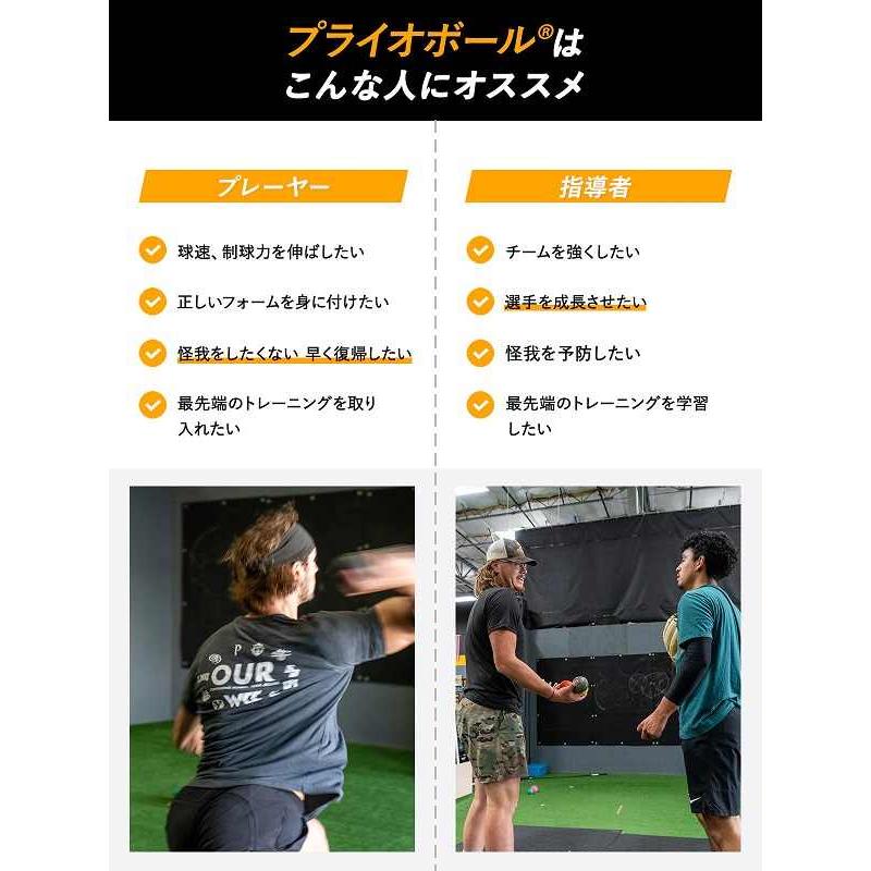 Driveline Baseball(ドライブライン) 野球 プライオボール 6個セット