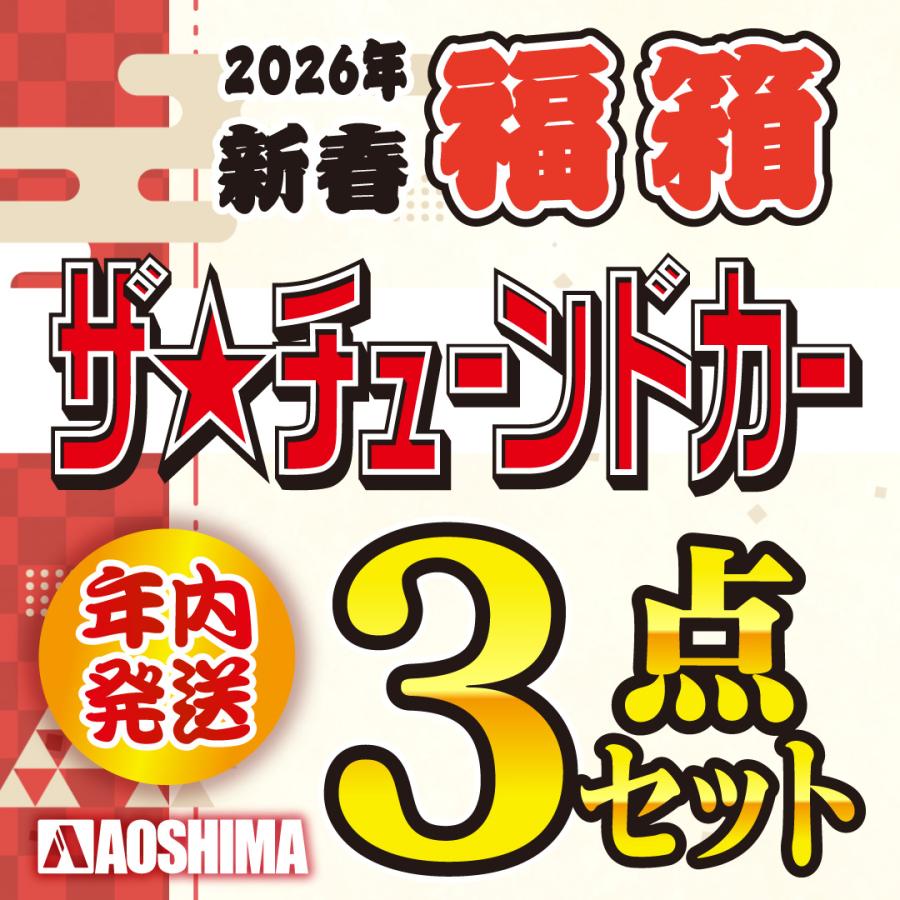 青島文化教材社 お買い得！2026年新春【1/24 ザ☆チューンドカー3点