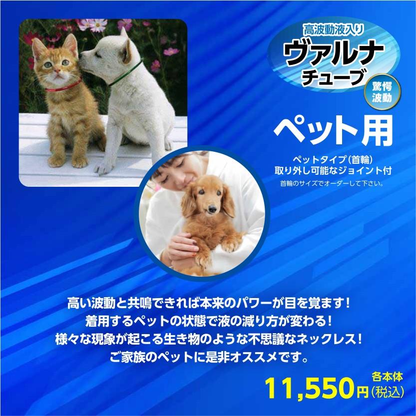 ヴァルナチューブ ペット用首輪 着脱用ジョイント付き つよしくん