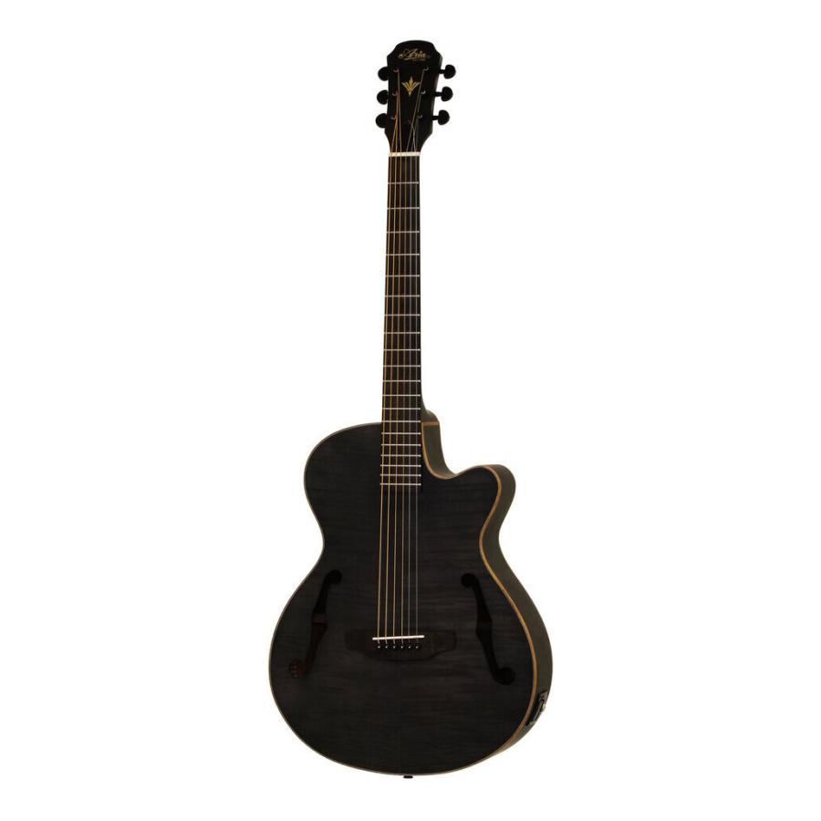 ARIA FET-F2 STBK(Stained Black) エレクトリック・アコースティック