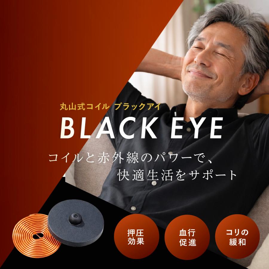 unica（ユニカ） 丸山式コイル ブラックアイ 2個入 貼替シール10枚入