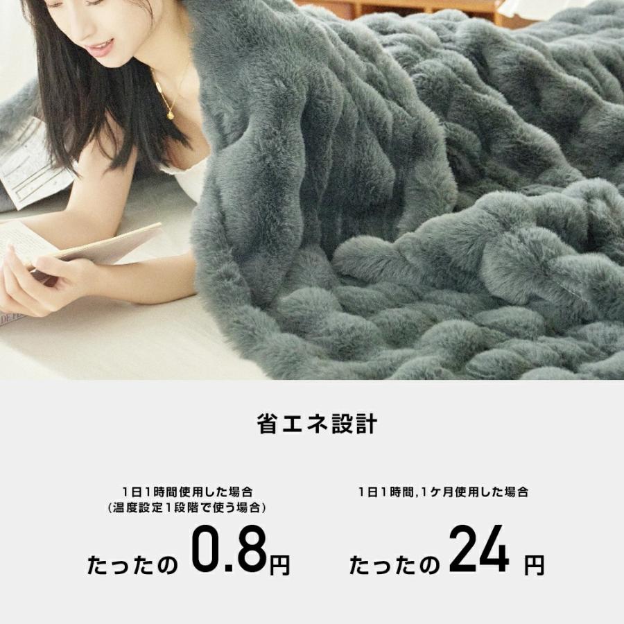 クーポンで6,980円から ふわとろ毛布 電気毛布 掛け敷き 即暖 保温 2枚