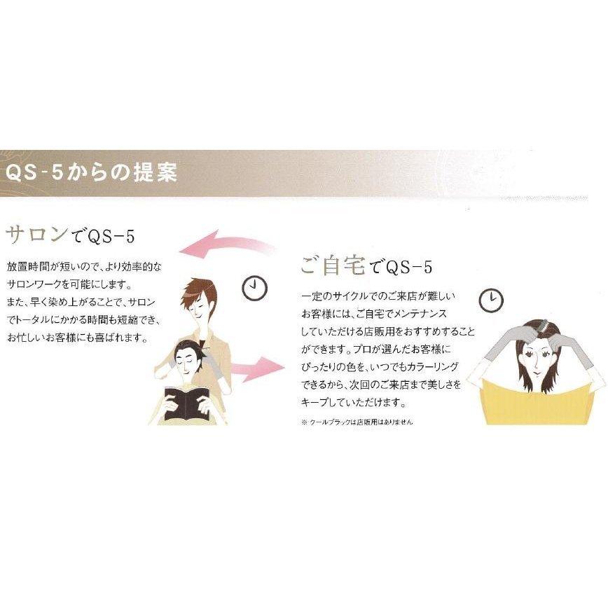 ホーユー アシュレーQS-5 E おしゃれなスピードヘアカラー 業務用3本