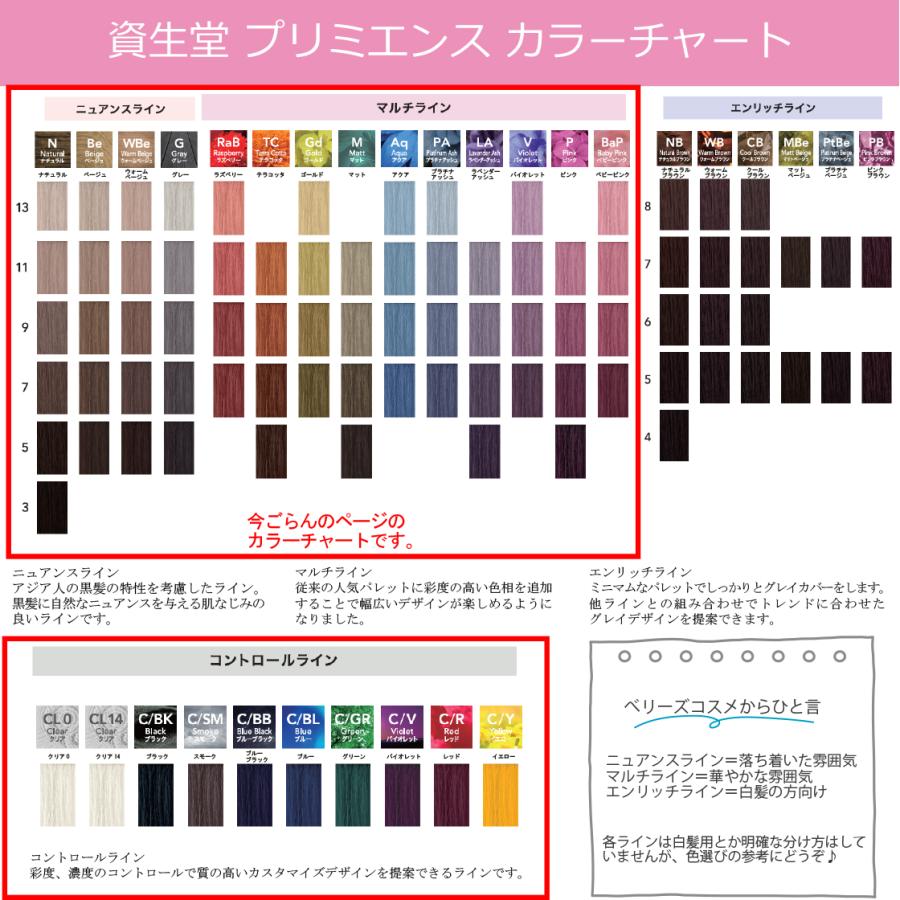 SHISEIDO PROFESSIONAL（資生堂プロフェッショナル） 資生堂