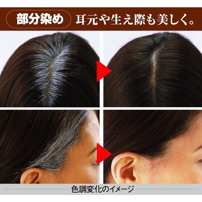 光で染まる白髪染め サンカラーマックス 75g 2本セット ノンジアミン