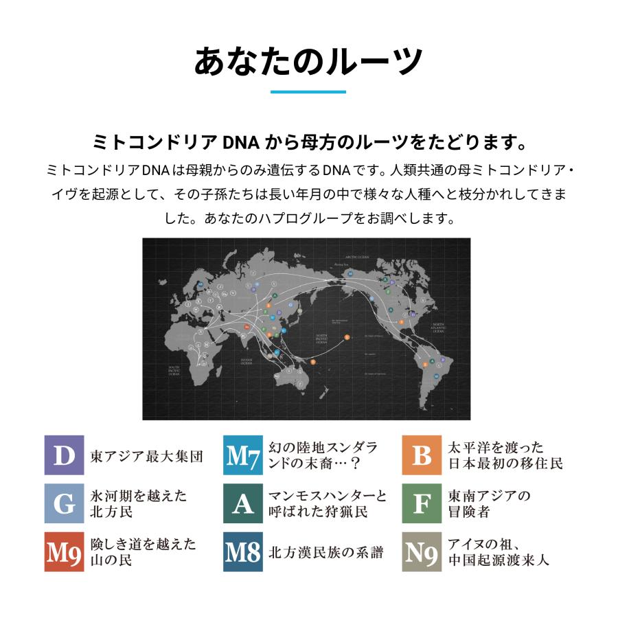 GeneLife（ジーンライフ） 「ジーンライフ / GeneLife：Genesis2.0