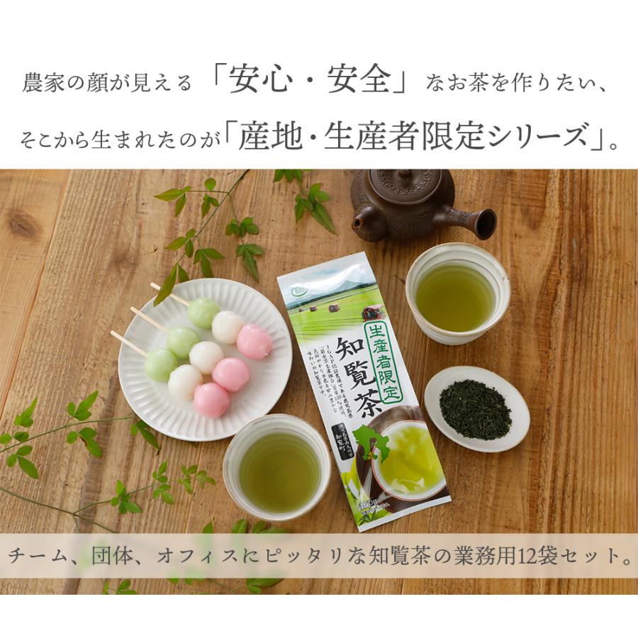 ハラダ製茶 お茶 知覧茶 緑茶 日本茶 生産者限定 100g×12本【2026年3