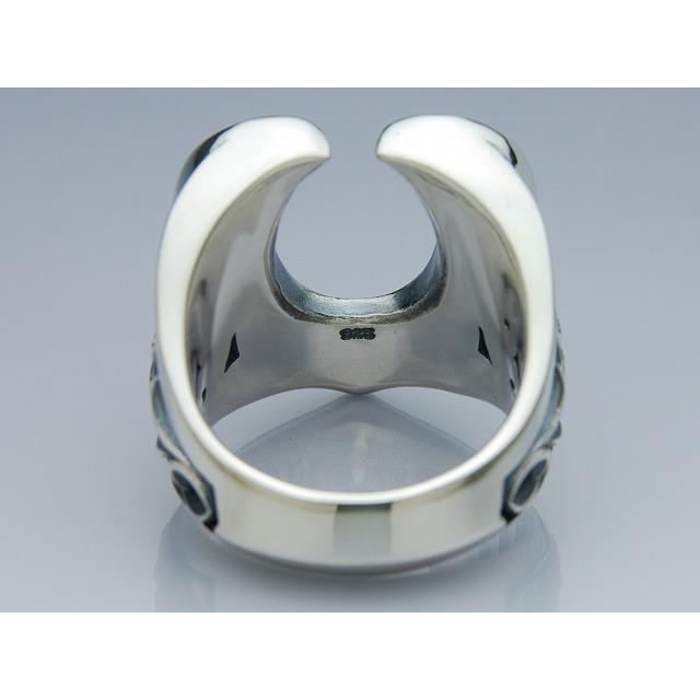 DEAL DESIGN（ディールデザイン） ストリームホースシュー リング