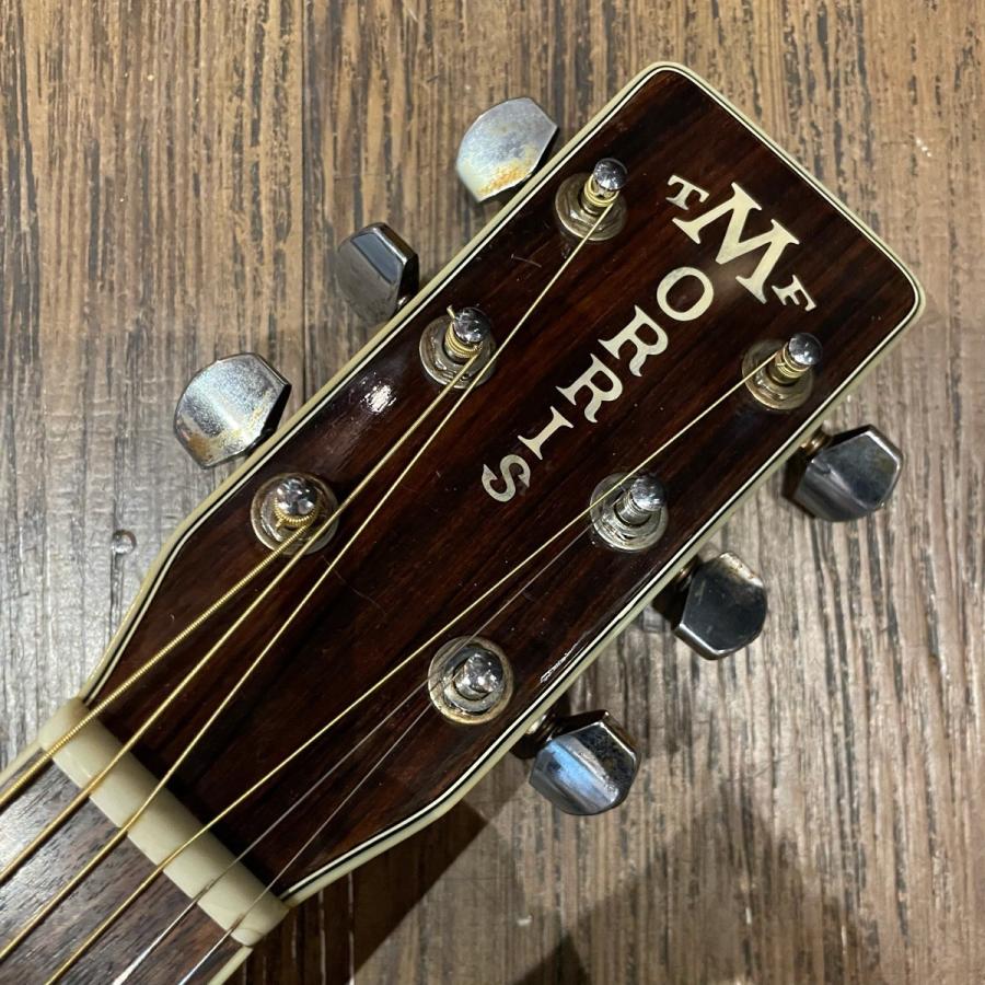 Morris Morris W-50 TF Acoustic Guitar Made in Japan