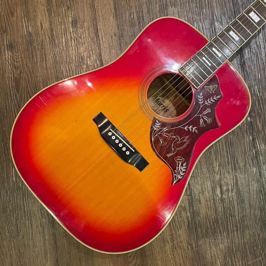 Morris Morris WH-20 Acoustic Guitar アコースティックギター