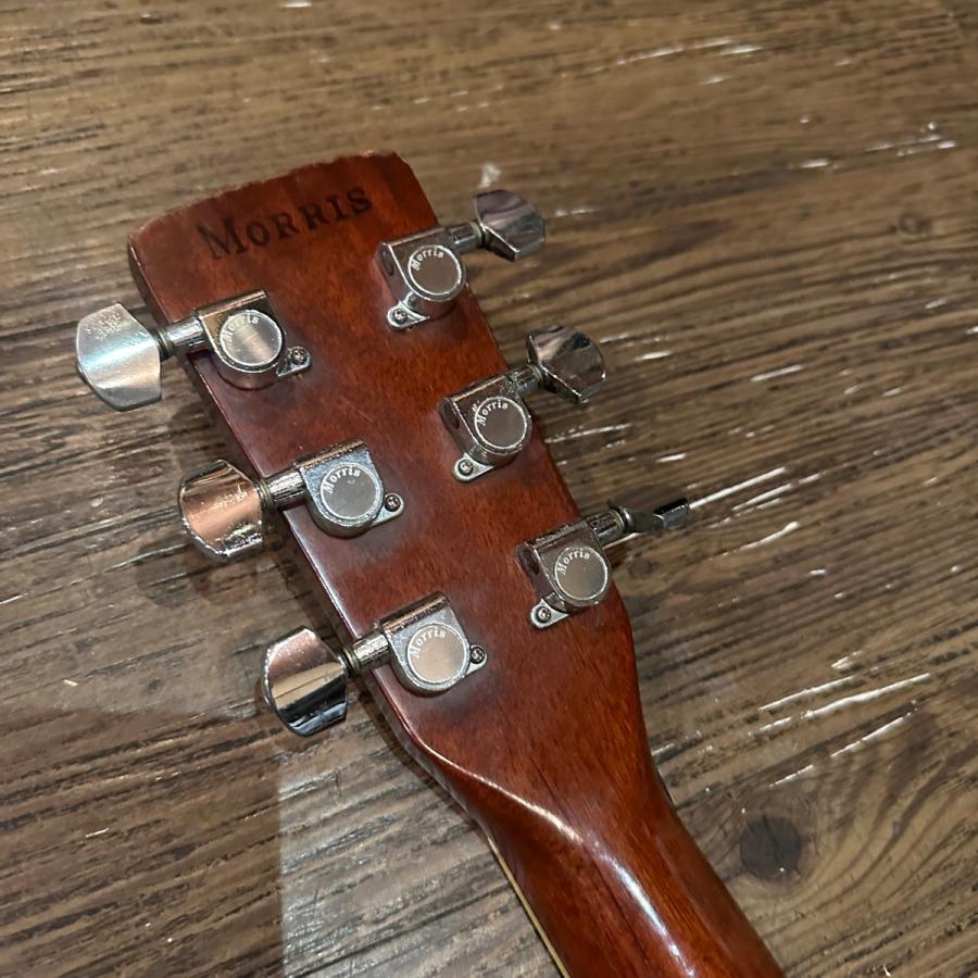 Morris Morris W-40 Acoustic Guitar Made in Japan アコースティック