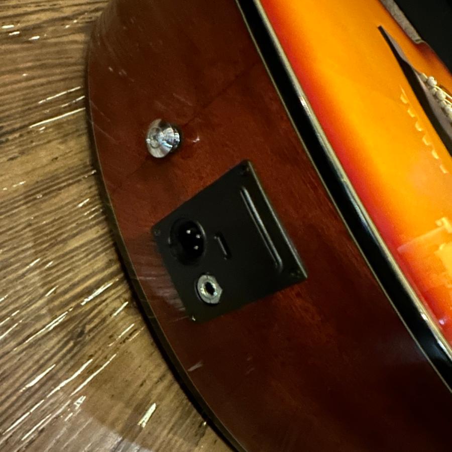 Ibanez（アイバニーズ） Ibanez AEJ7E-HS Electric Acoustic Guitar