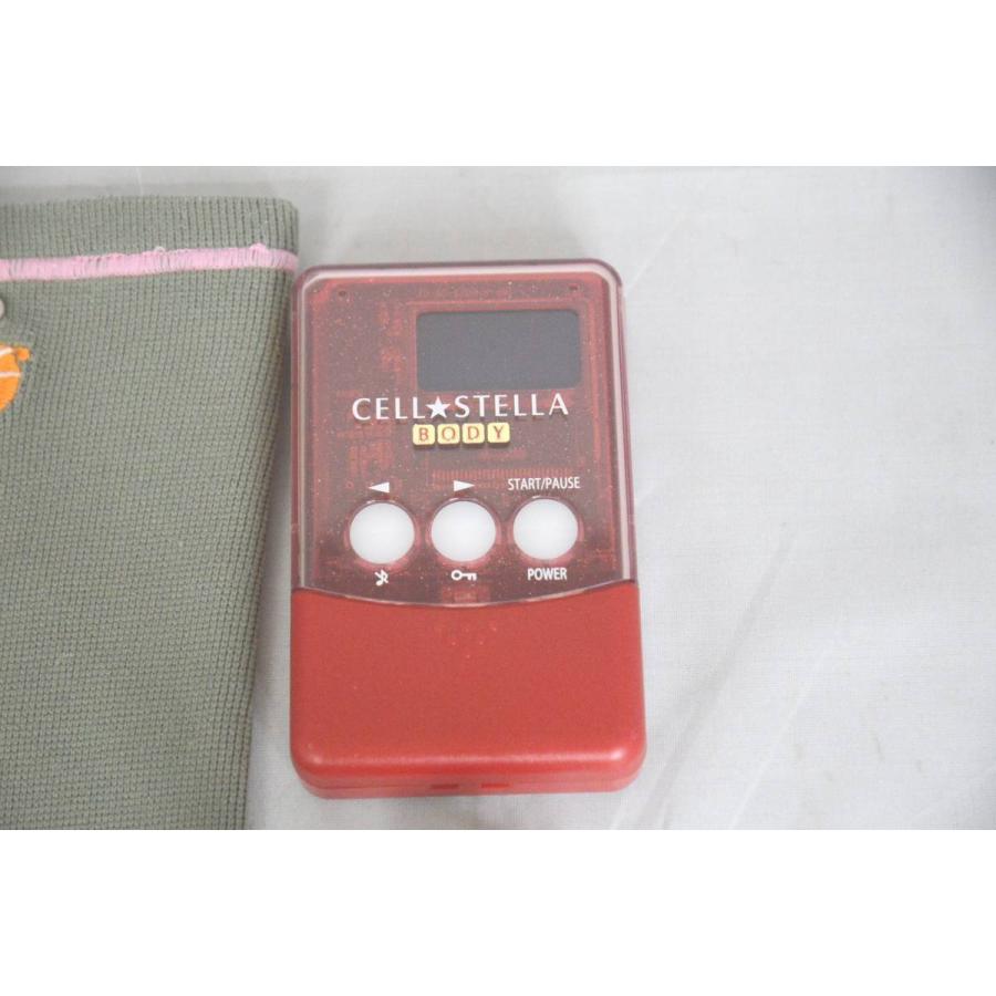 インボイス対応 フレキシア CELL STELLA BODY セルステラ ボディ 美容