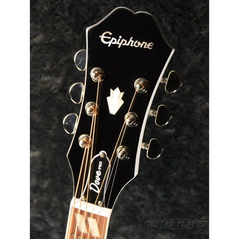 Epiphone（エピフォン） Epiphone Ltd Ed DOVE PRO Alpine White