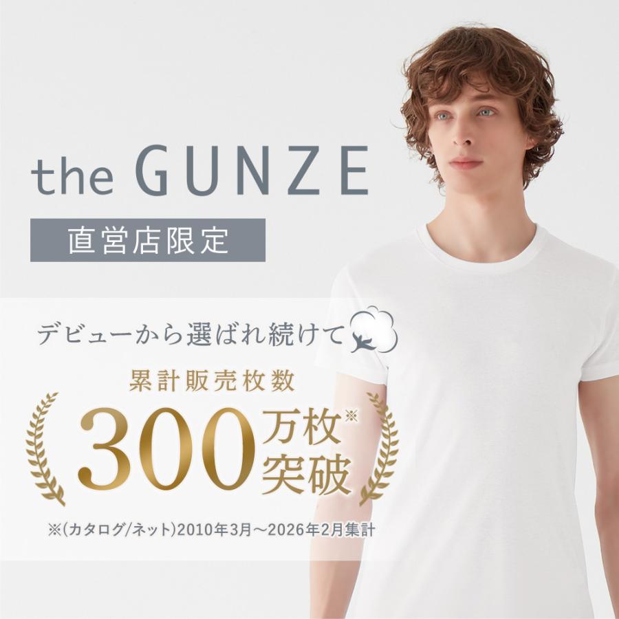 GUNZE（グンゼ） theGUNZE 直営店限定 綿100% V首 Tシャツ メンズ