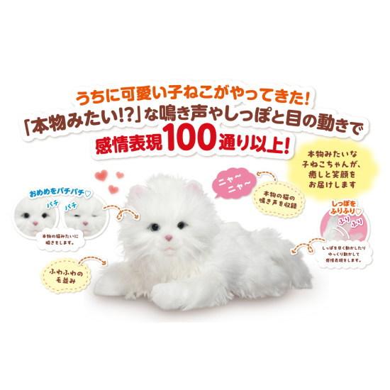 電池10本付き！】あなたのパートナー しっぽふりふり あまえんぼう 子