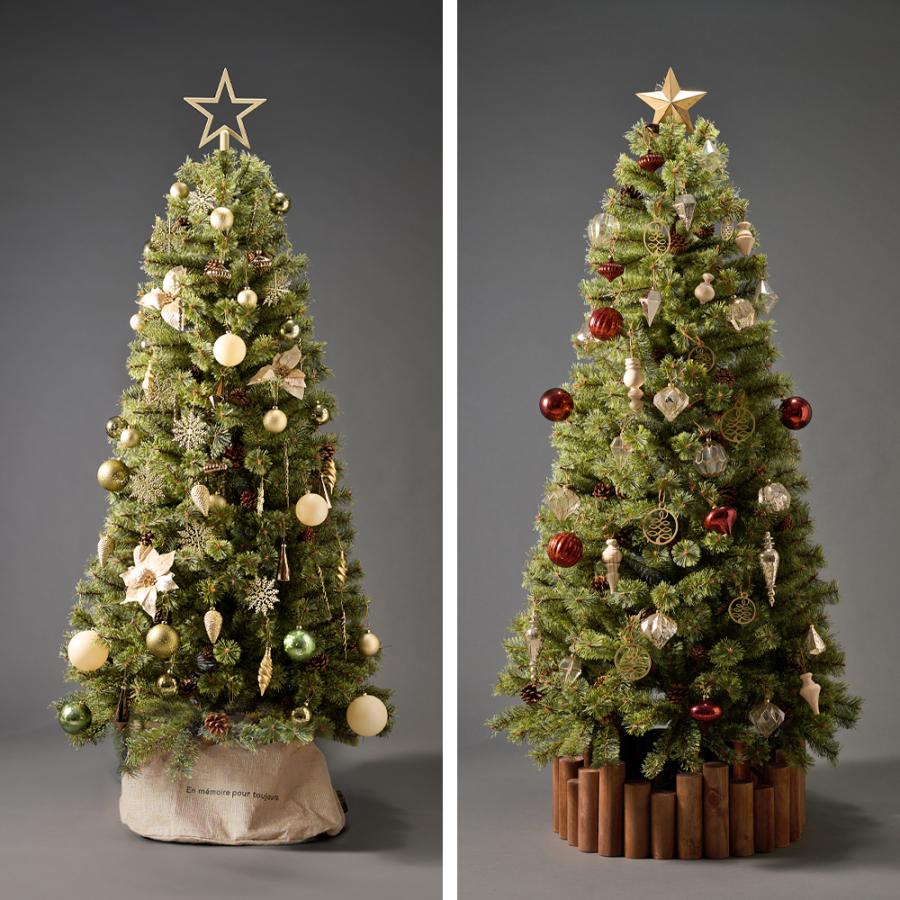 Alsace □次回は2026年8月□ Alsace(R)公式 正規品 クリスマスツリー