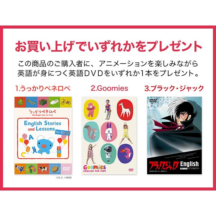 七田式 特典付 七田式フラッシュカード かな絵ちゃん 英語DVDセット