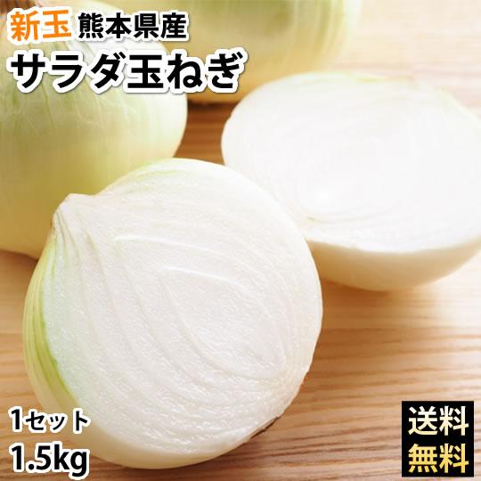玉ねぎ サラダ玉ねぎ 送料無料 新玉 1.5kg S〜L 熊本県産 2セットで1