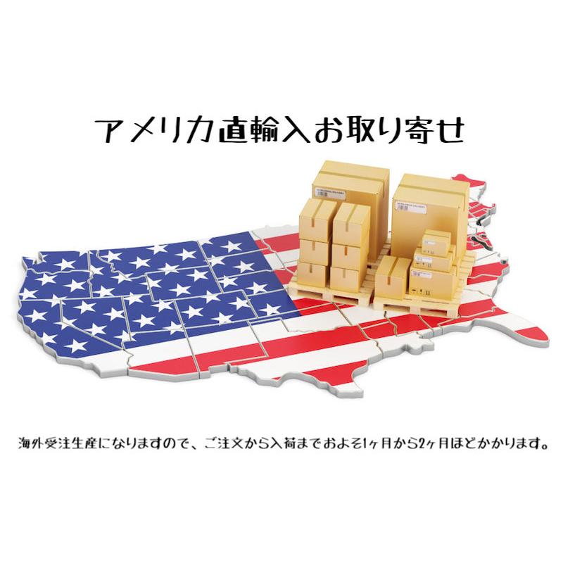 並行輸入品】AEW 竹下幸之介 KONOSUKE TAKESHITA DEMON ALPHA トライ