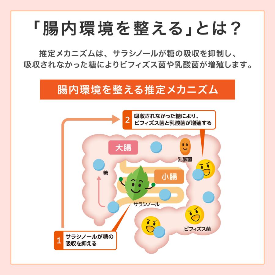 メタバリア 30日分 180粒 サプリ サプリメント サラシノール 機能性