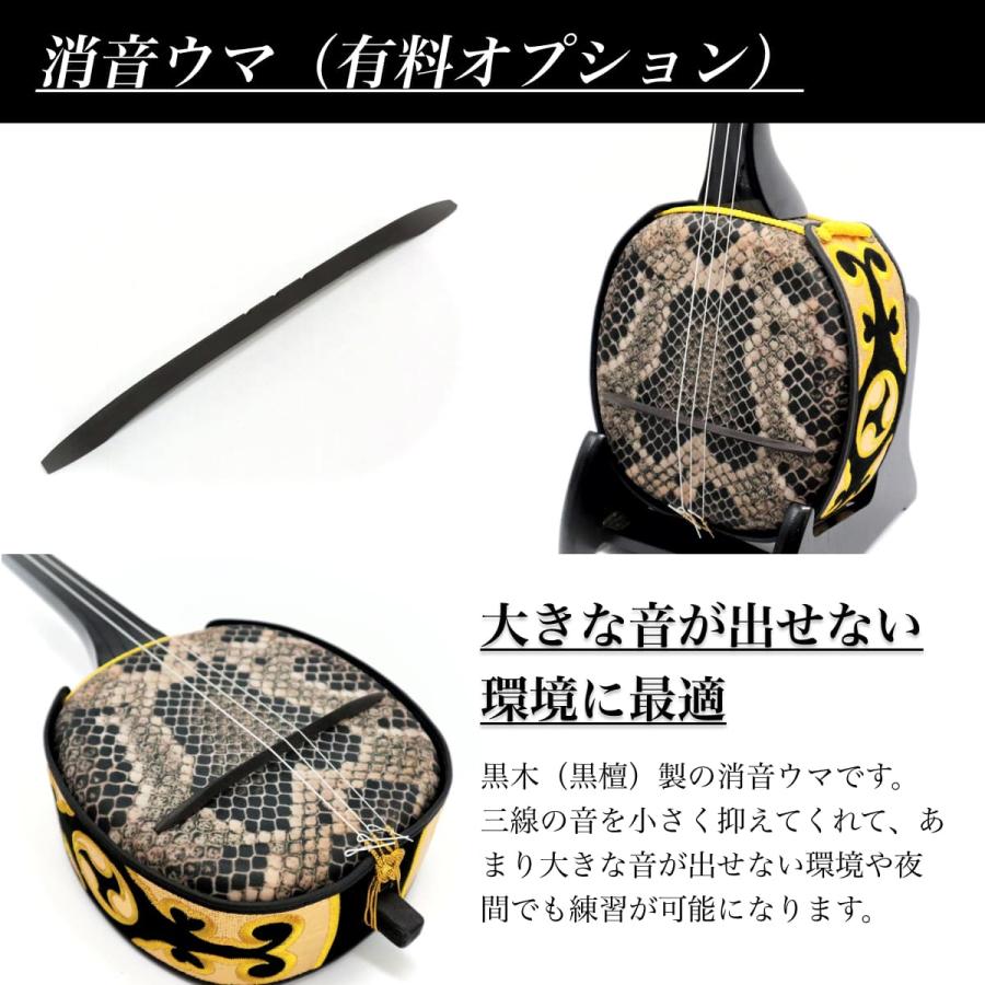 三線 沖縄三線 初心者用デザイン三線スタンダードセット カスタマイズ