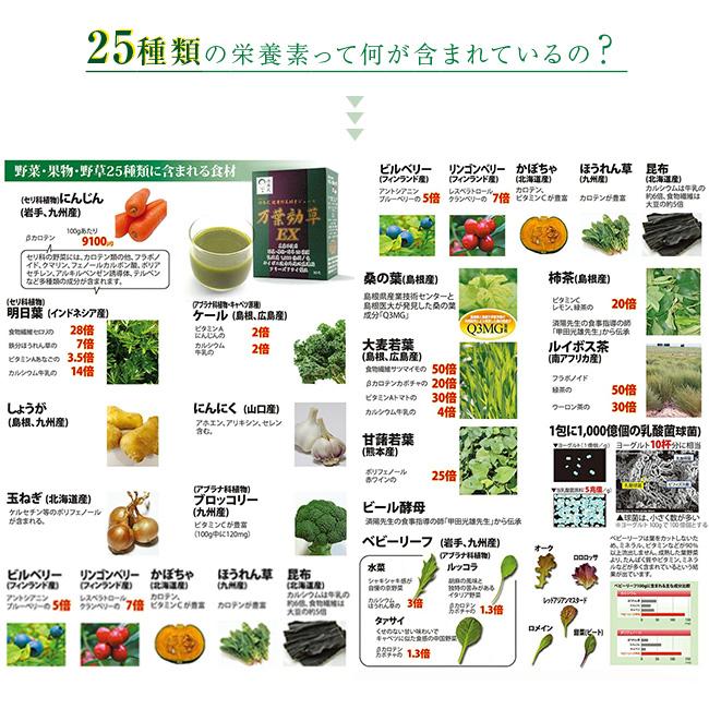 済陽式 万葉効草EX 《3箱セット》(青汁 乳酸菌 酵素ドリンク 国産 済陽