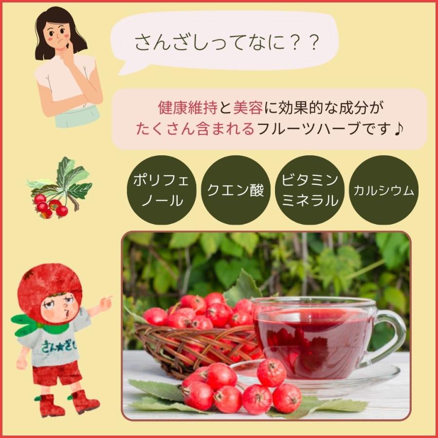3本セット サンザシドリンク フルーツハーブ さんざし 900ml 希釈