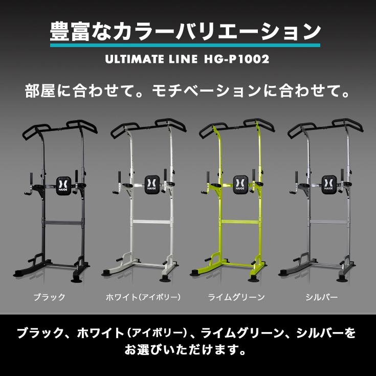 ハイガー プラップバー 懸垂バー プロユース 耐荷重230kg 懸垂 意匠
