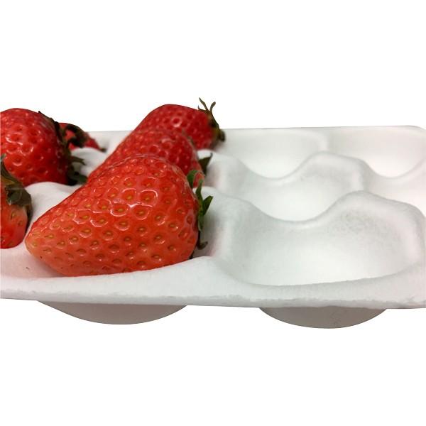 いちご用緩衝材）ベリーホール/800枚入（LSG-4） : 箱の店 - 通販