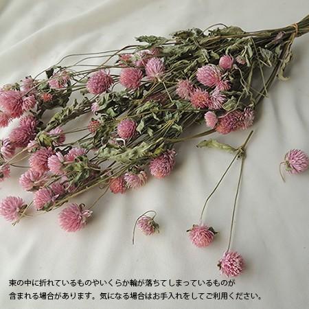 ドライ 大地農園 千日紅 約35g ピンク 10120-100 ドライフラワー花材