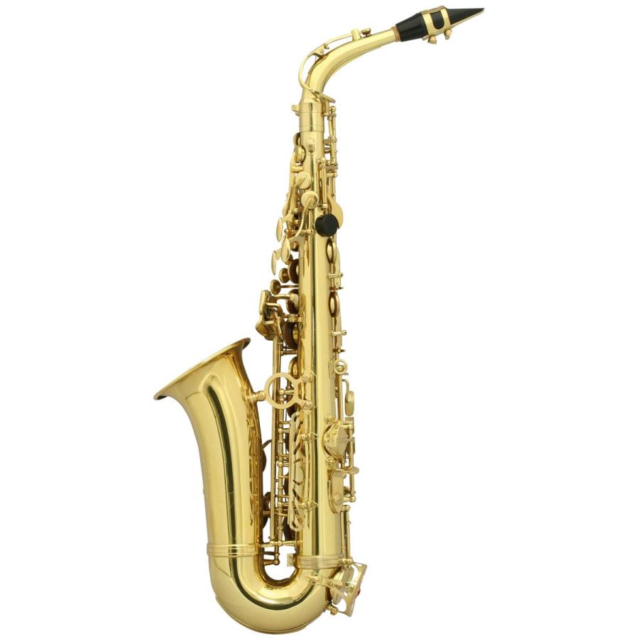 SELVA 初心者向けアルトサックス入門セット ALTOSAX SAS-100 セルバ