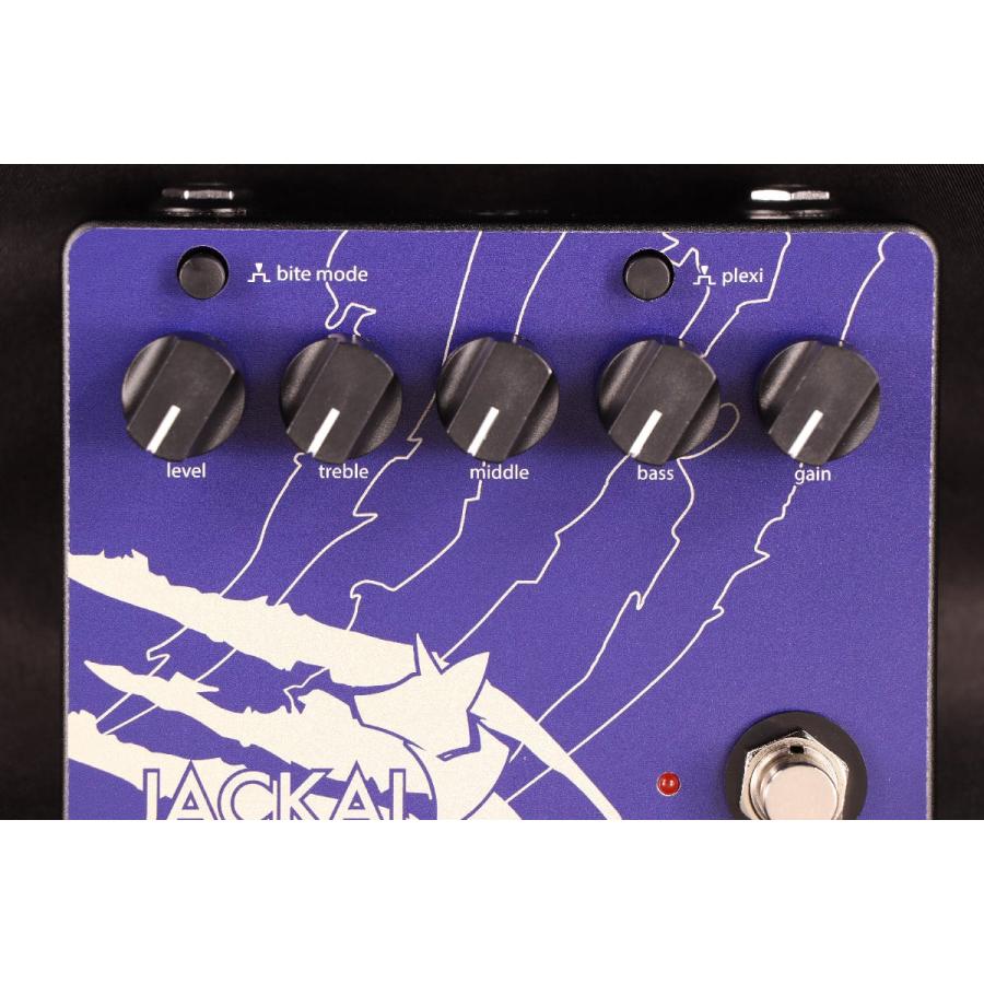 台数限定)(イシバシ楽器限定モデル) Limetone Audio / JACKAL Navy