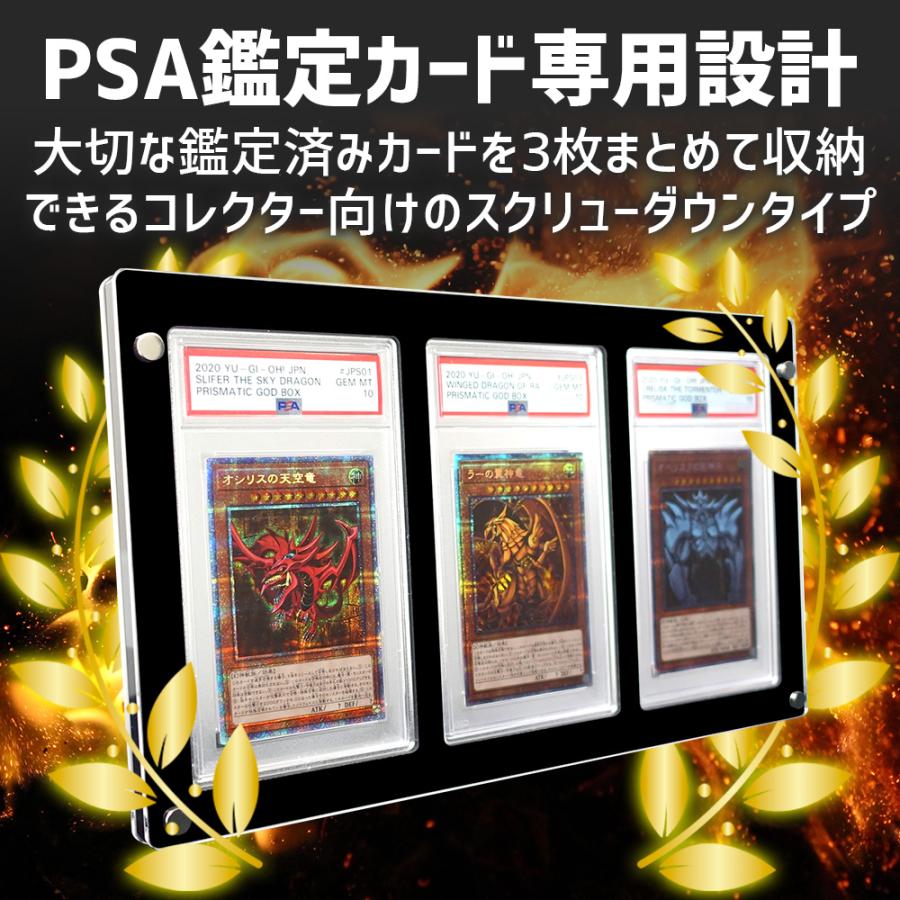 ポイント10倍】 【3連タイプ】 スクリューダウン PSA マグネット