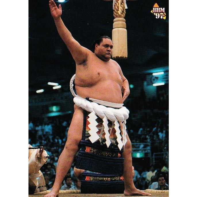 P-13 【曙 太郎】BBM 1999 大相撲カード インサート [横綱土俵入り