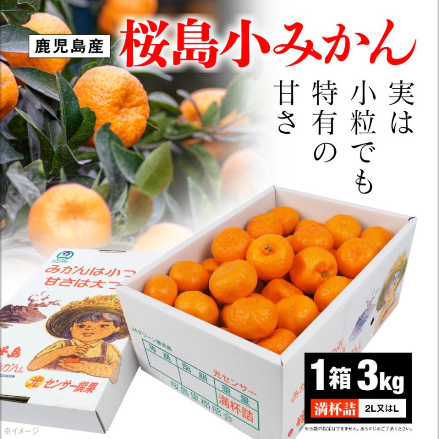 終売間近) みかん 鹿児島 小みかん 桜島 小ミカン 3kg 1箱 送料無料