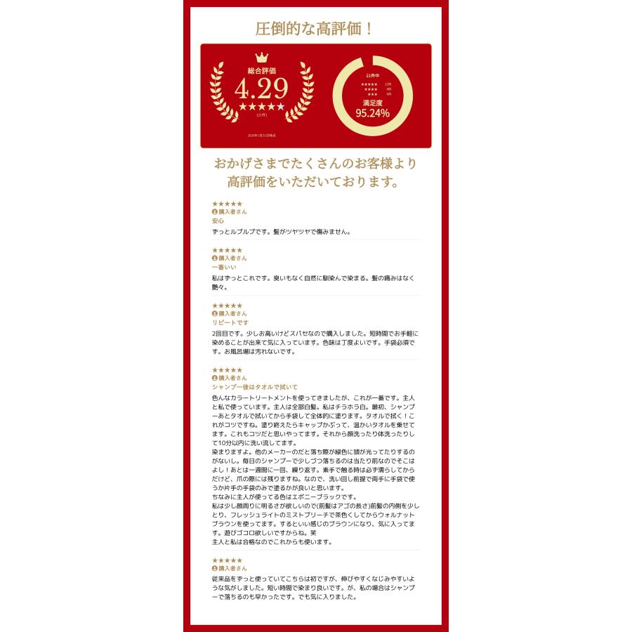 LPLP（ルプルプ） 3分白髪染め essenceカラートリートメント170g