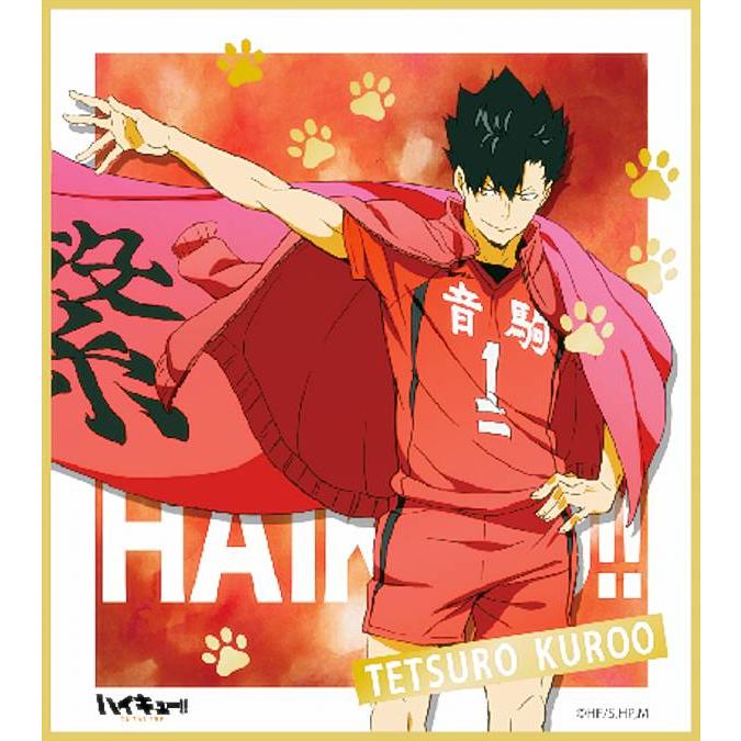 黒尾鉄朗】 ハイキュー!! TO THE TOP 箔押しミニ色紙コレクション