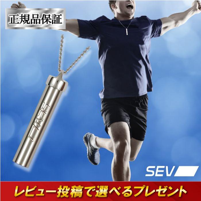 SEV（セブ） メタルバーチカルV2 SEVネックレス 肩こりネックレス 健康