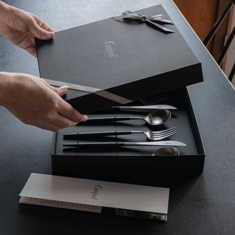 Cutipol（クチポール） 正規品 カトラリーセット GOA デザート 6点