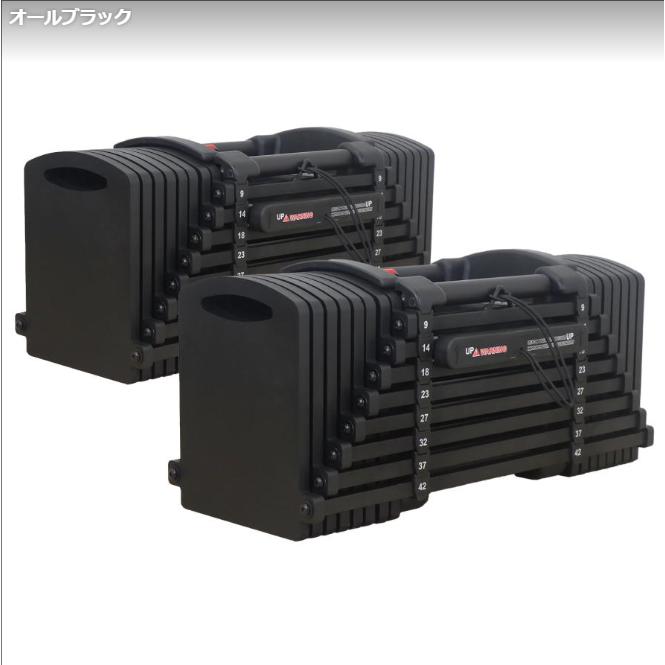 パワーブロック ダンベル 可変式 42kg 2個セット 24段階調節 : 小路