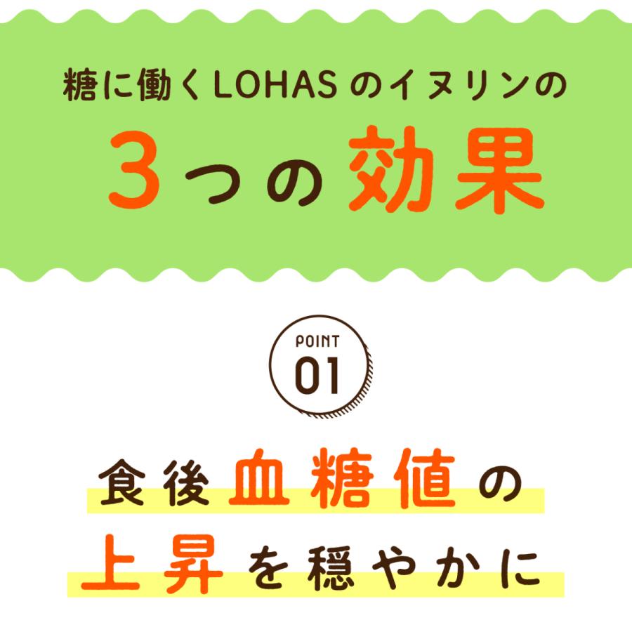 LOHAStyle（ロハスタイル） イヌリン 500g 血糖値 便秘 にお悩みの方に