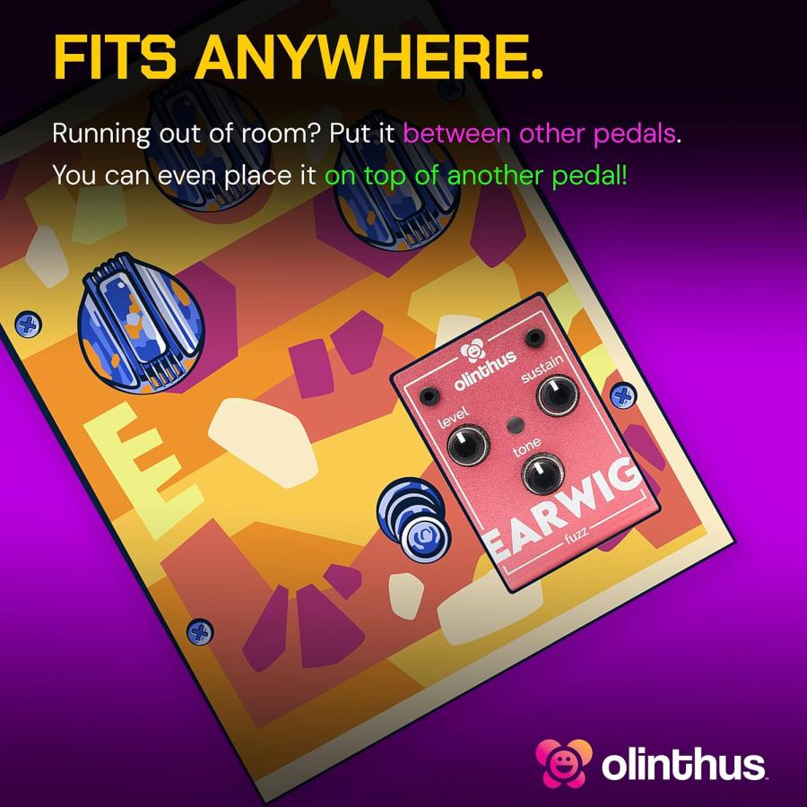 Olinthus オリンサス エフェクター ファズ Earwig [入出力用ブレイク