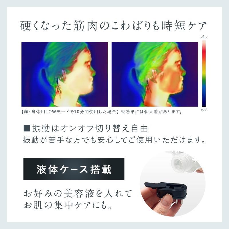 NIPLUX 電気ブラシ EMS美顔器 NIPLUX EMS LIFT BRUSH emsリフトブラシ